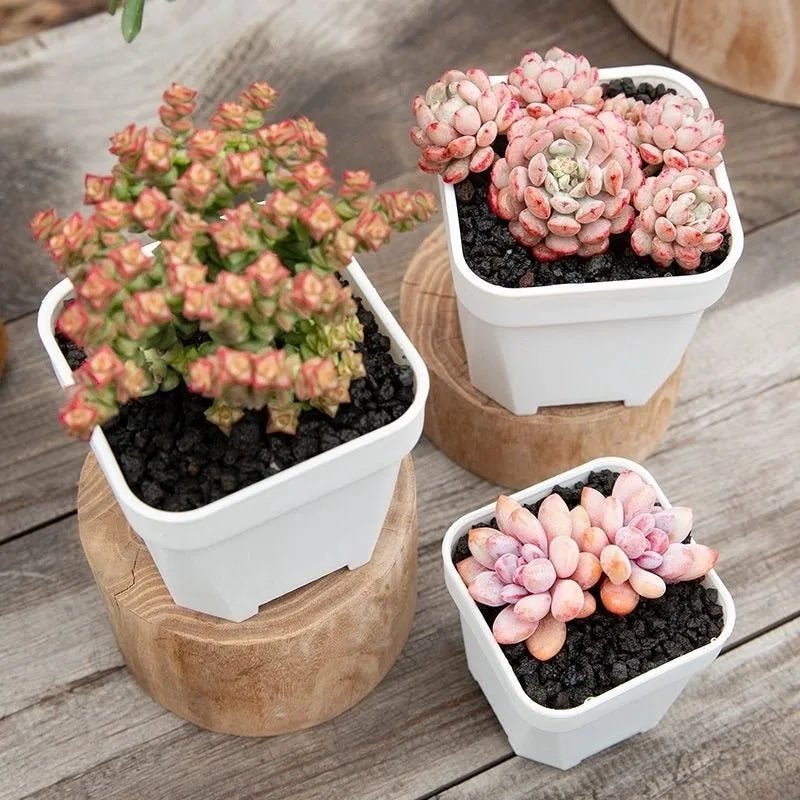 2-5PCS Quality Thicken Flower Pots ，Succulents Plant Square Flowerpots Nursery Grow Container Cactus Pot Planter Garden Supplies
