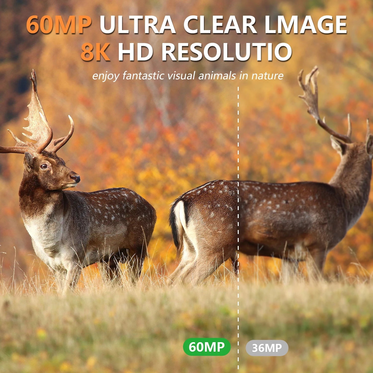 8K 60MP Solar Trail Camera with WiFi, 32GB SD Card, Phone App Control, Night Vision Motion Activated Wildlife Camera