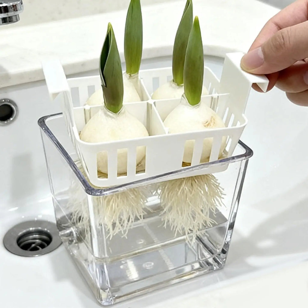 Hydroponic Planter Tulip Bulb Planter 4-cell Hydroponic Flower Pot with Reservoir Indoor Gardening Pot Drainage System for Home