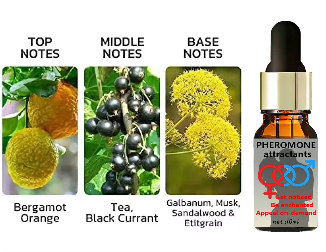 Pheromone Seductive Perfume for men: 10ml amber dropper bottle with bergamot, tea, black currant, and musk scent notes.