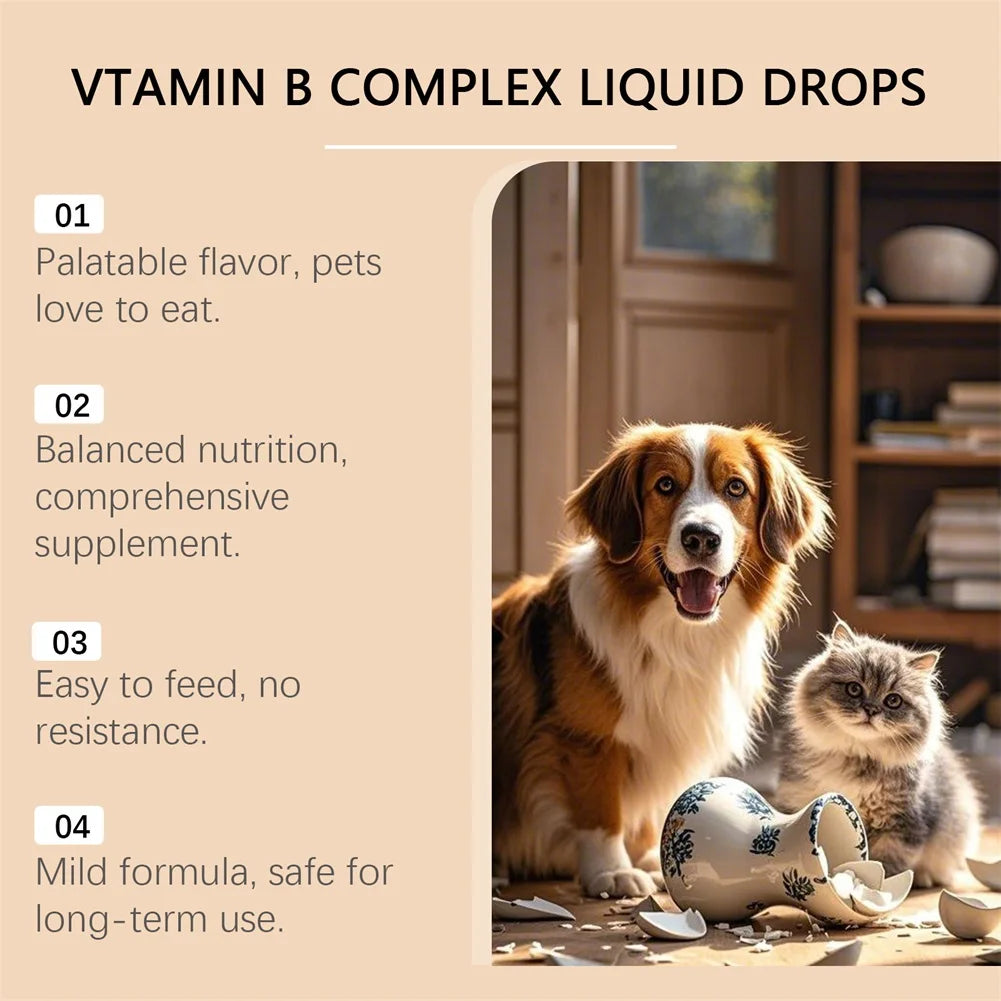 60ml Vitamins B Complex For Dogs Cats Immune Support Pet Body Care Drop Natural Grooming Drops For Pet Fur Growth & Health Skin