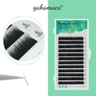 GLAMLASH L/LU/M W Shape Eyelash Extension 3D Premade Volume Fan Lashes W Style YY Lashes Faux Mink Volume Lashes Natural