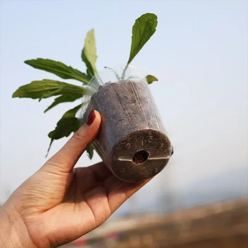 10/50PCS Transparent Seedling Pot Plants Nursery Pot Cups Gardening Transplantation Potted Flowerpot Planter Gardening Tools