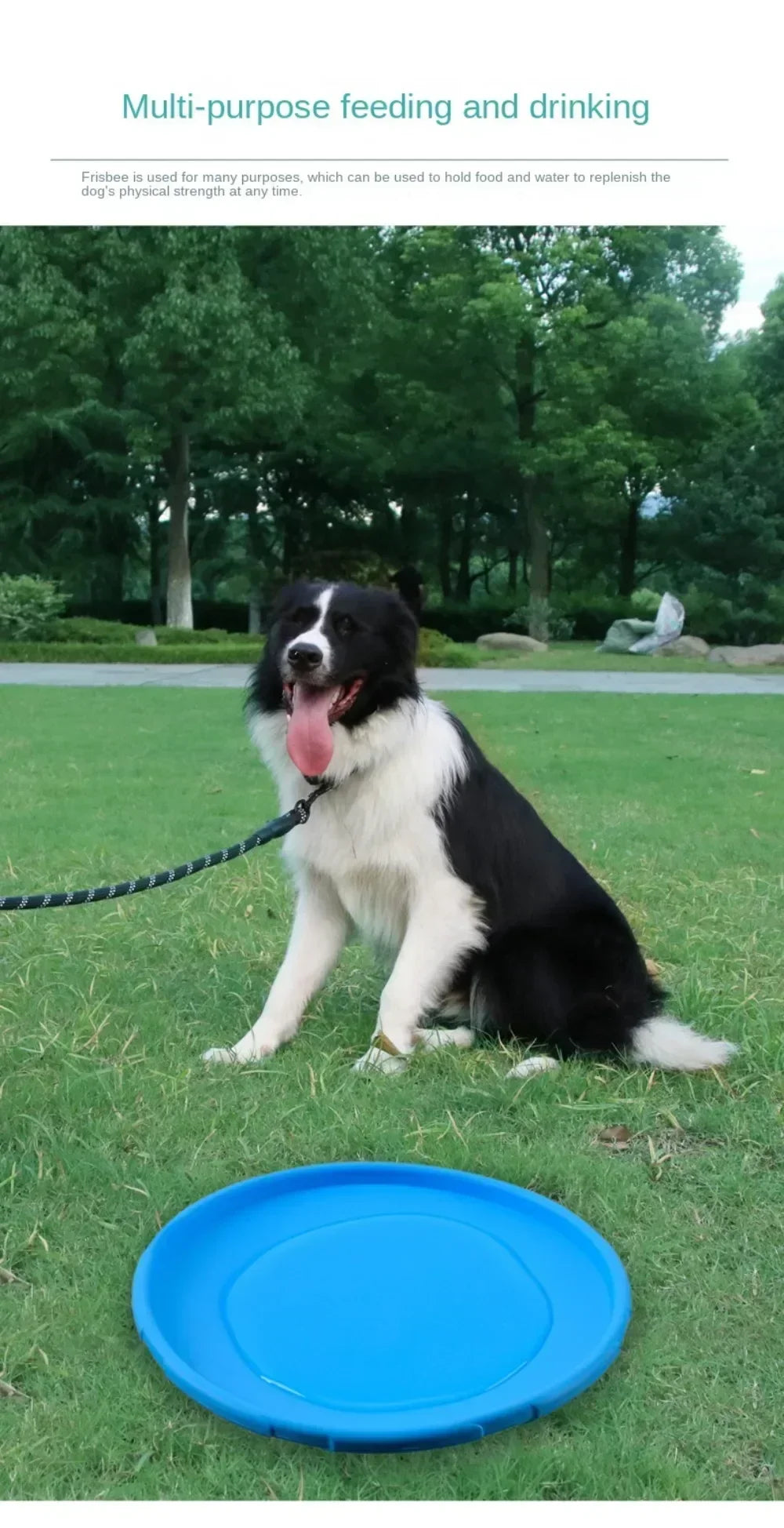 Blue 22cm silicone dog frisbee toy used as a portable water bowl for outdoor interactive training.