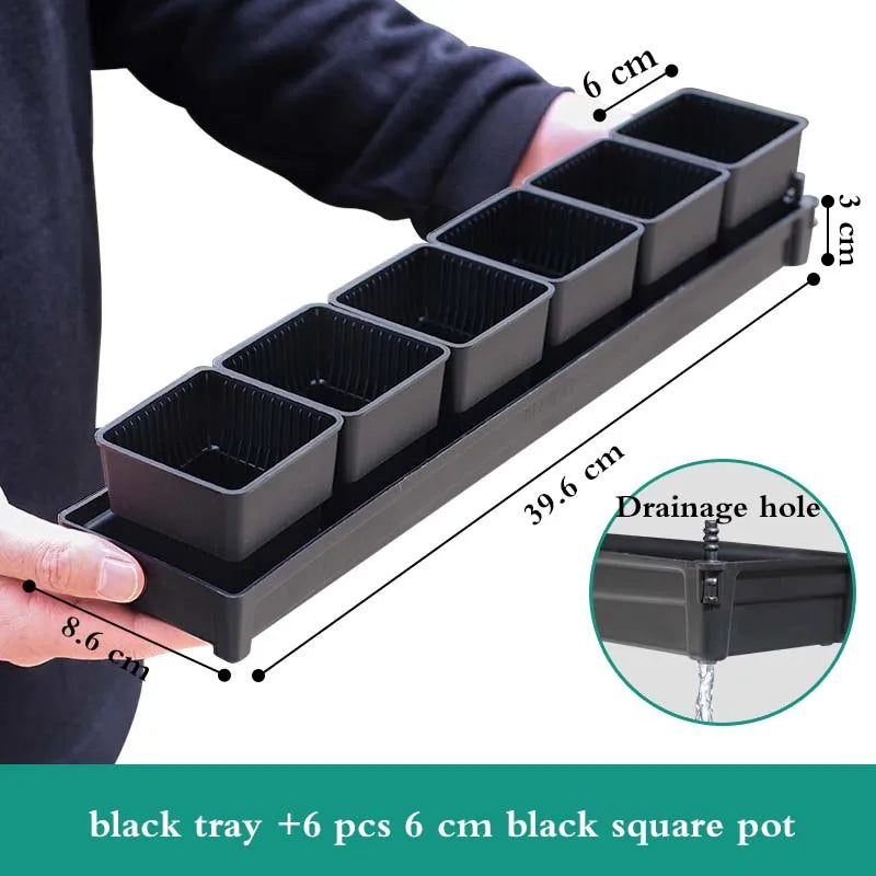 Black square plant pot tray with 6cm pots and drainage holes for succulents