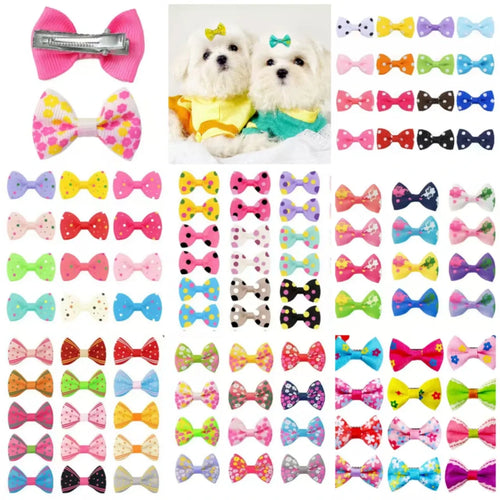 Colorful dot-pattern pet hair bow clips with silver alligator barrettes set