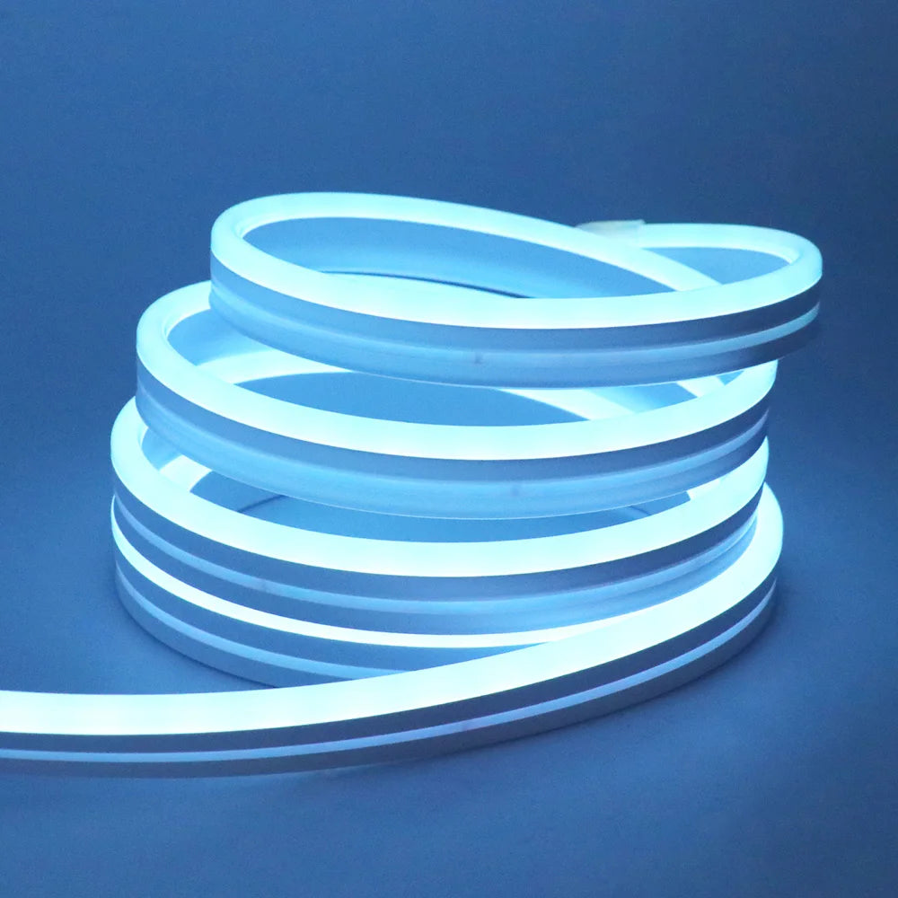 RGB Neon Light LED Rope Light Waterproof APP Remote Control Music Sync 24V Flexible DIY Silicone Strip Light for Indoor Outdoor