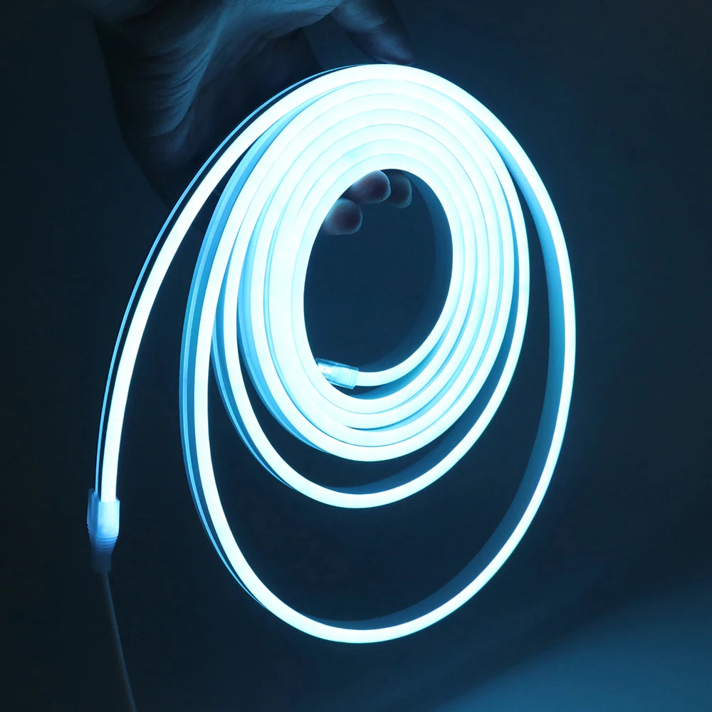 Bluetooth RGB LED Neon Strip Light 5V 3AA Battery Box 17Key 24key 44key Remote Control 108Leds/M 1M 2M 3M Waterproof Home Decor