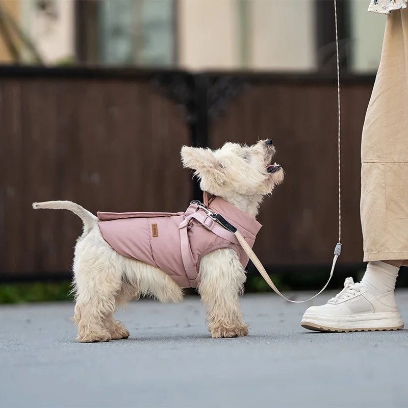Small dog wearing a warm pink padded winter coat with built-in harness for comfortable outdoor walking.
