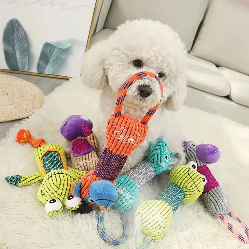 White dog playing with colorful, durable plush rope chew toys for teeth cleaning and interactive training.
