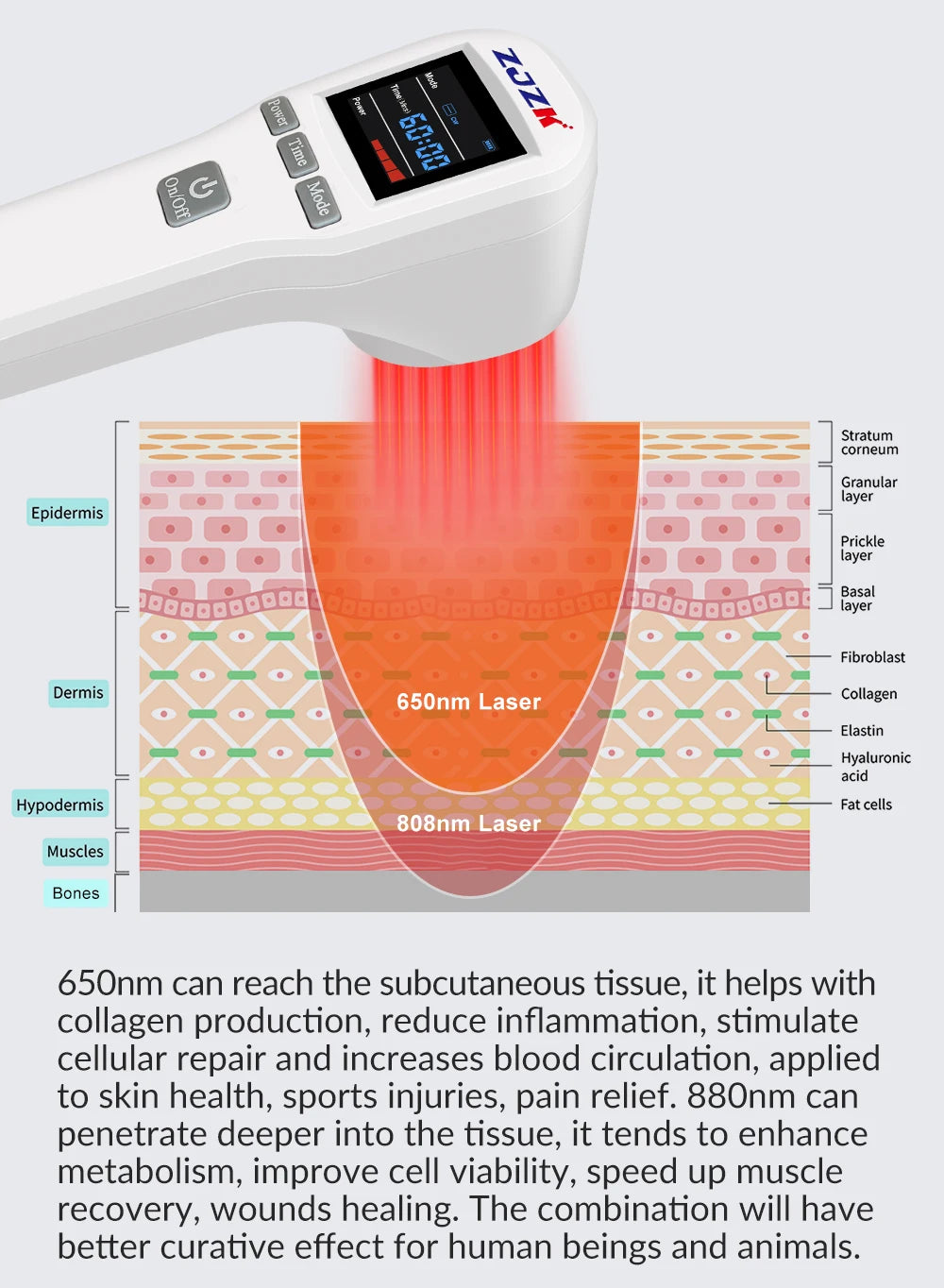 Cold Laser Therapy Device for Pain Relief | 808nm & 650nm Laser Body Shaping Massage Equipment Tidesmit