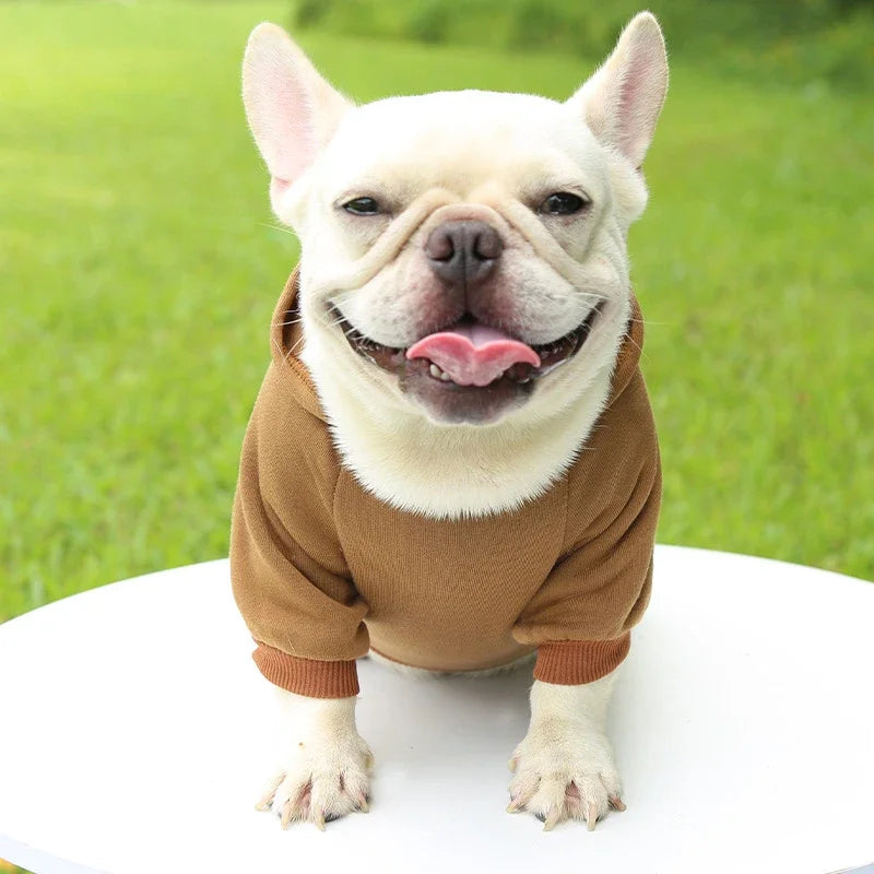 French bulldog wearing a warm, brown two-legged hooded sweater for autumn and winter comfort.