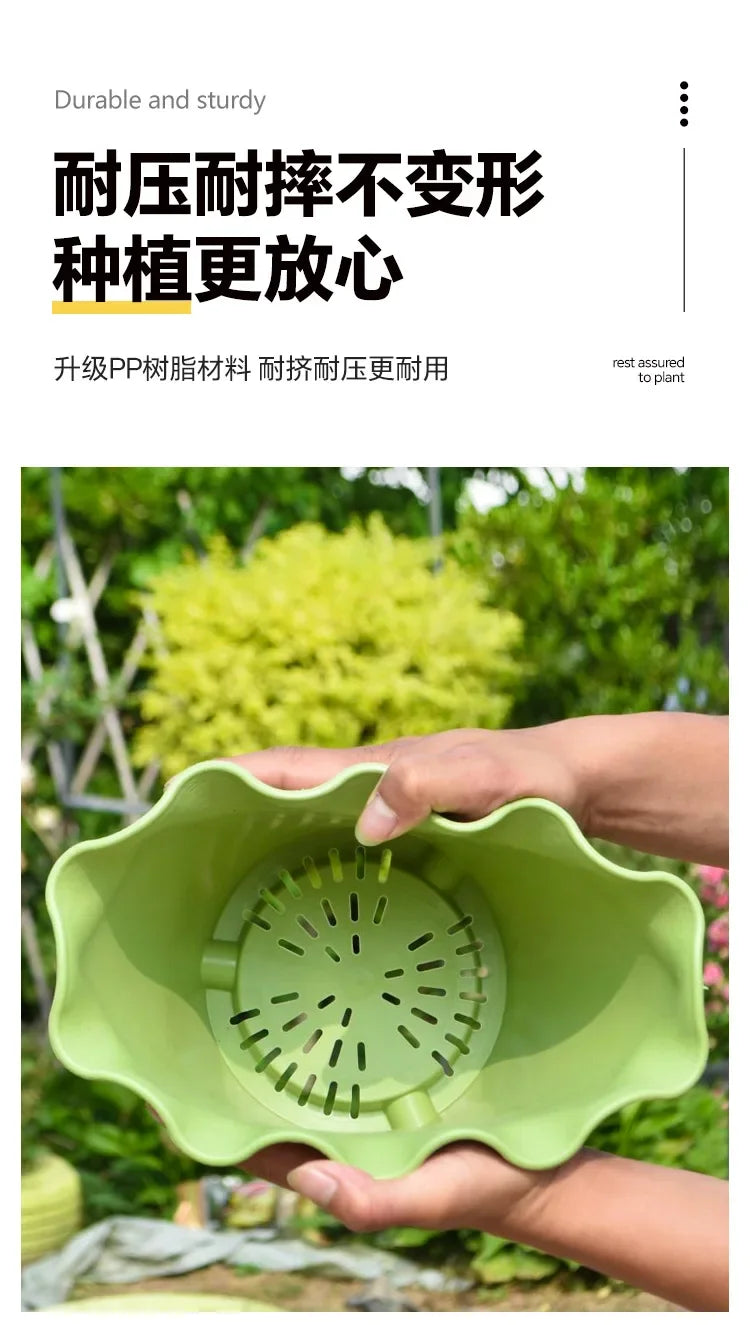 Flower Pot Lotus Leaf Edge Household Thickened Plastic Indoor Balcony Lily Wind and Wave Edge Pot 2pcs (Flower Pots Bases)
