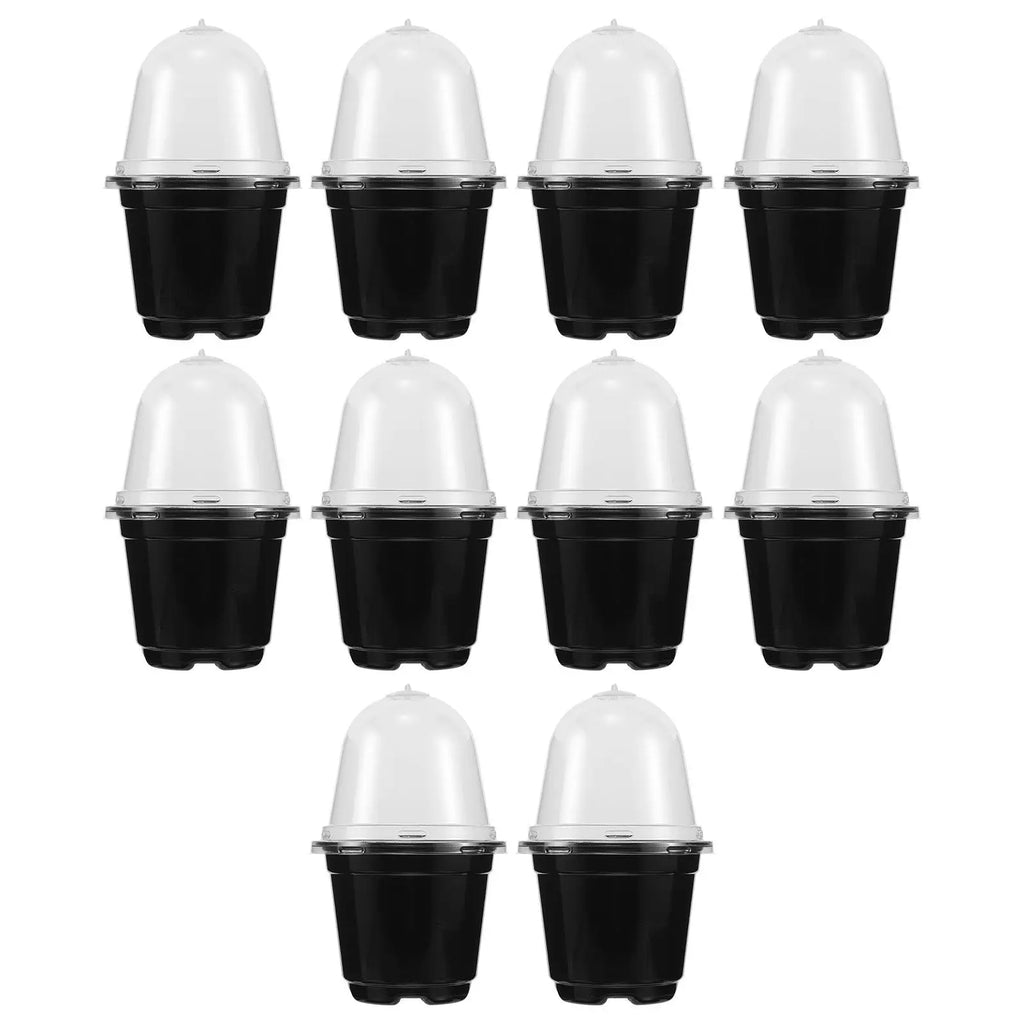 Pack of black seed raising cups with clear dome lids, multiple pieces