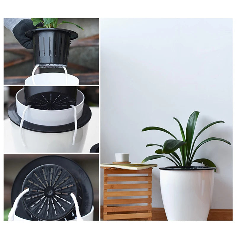 Self-watering flower pots with white outer body and black inner reservoirs around a plant.