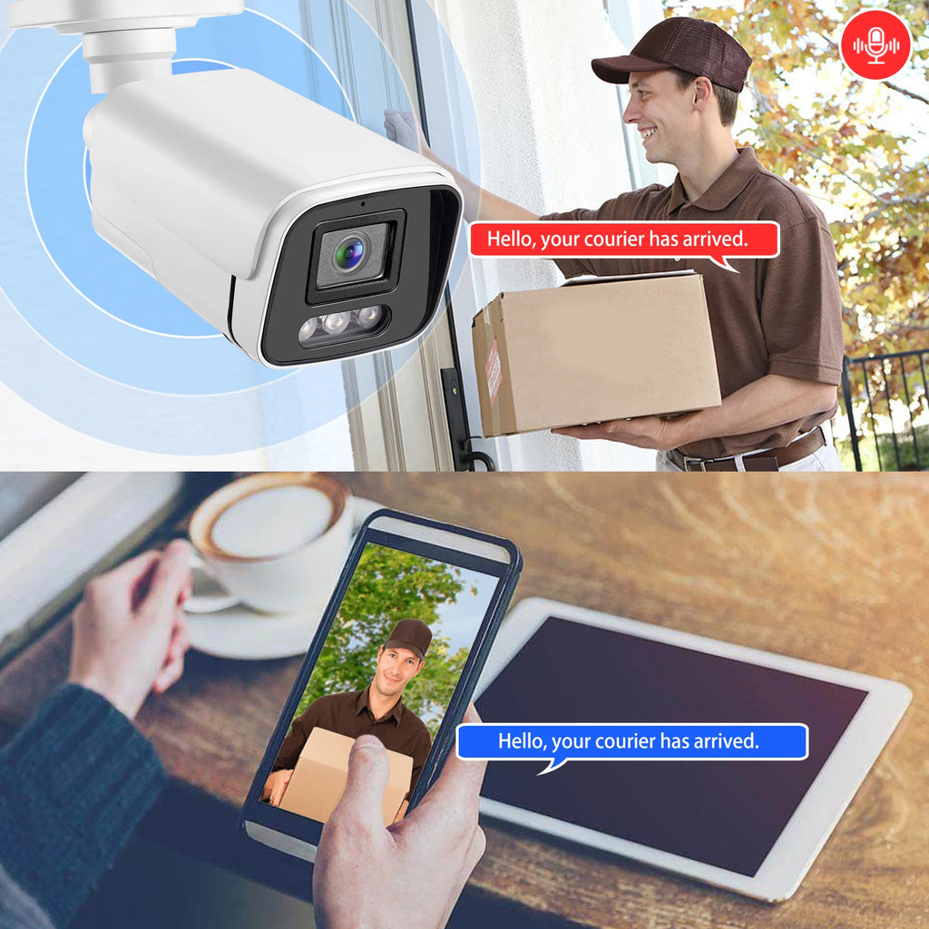 Gadinan Metal Outdoor POE Audio IP Camera Color Night Vision P2P AI Humanoid Alert CCTV Home Security Video Monitoring Linklemo