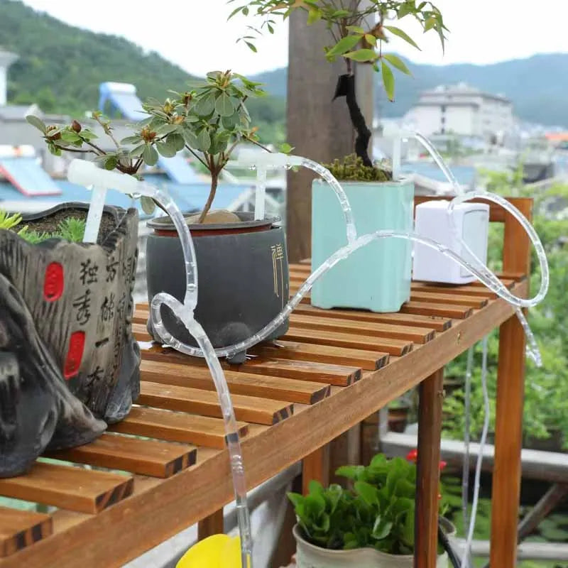 Automatic watering bag with clear tube drip feed to potted plants on a wooden stand