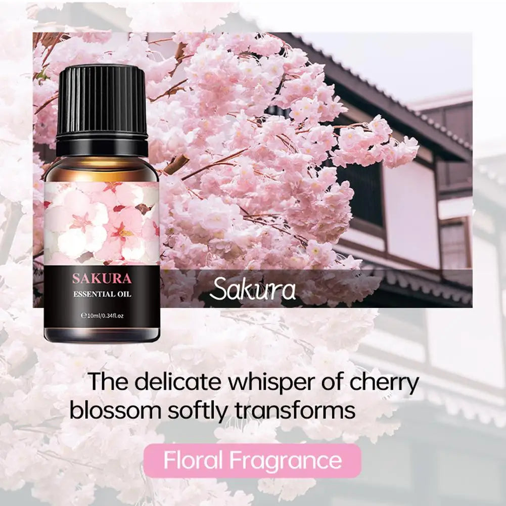 Aromatherapy Essential Oil 10ml Lemon Eucalyptus Lavender Eucalyptus Jasmine Rose Mint Orange Aroma Essential Oil