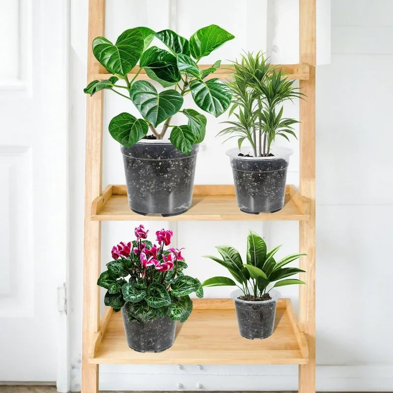 Transparent nursery plant pots on a wooden shelf with four potted houseplants