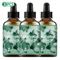 Eucalyptus essential oil, a botanical fragrance, nourishes hair and provides body massage care; suitable for all seasons.