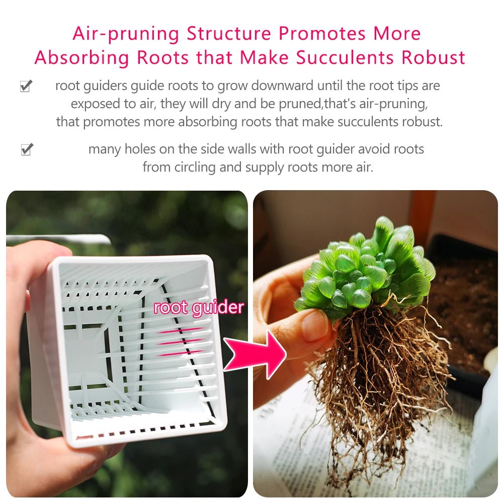 White square root-control pot insert with perforated side walls and root-guiding channels