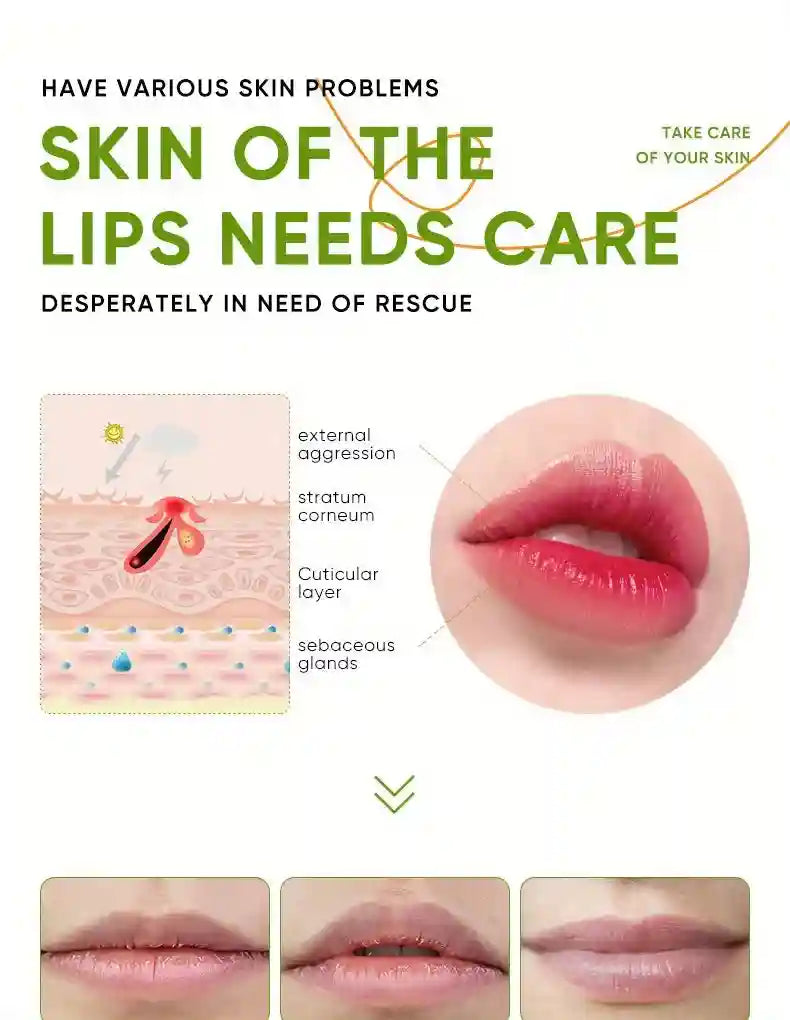 Aloe Vera Lip Balm for Hydrating Dry Lips - Cruelty-Free Lip Care Set Lip Care Tidesmit