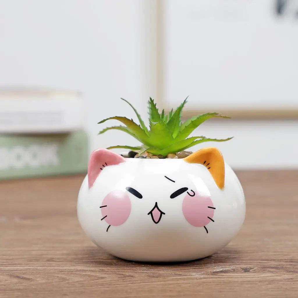 Cute ceramic cat planter with green succulent, pink cheeks and whisker face design