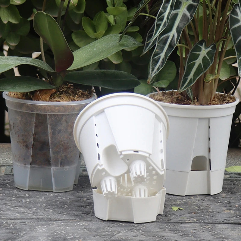White self-watering plant pots with open reservoirs and visible inner holders