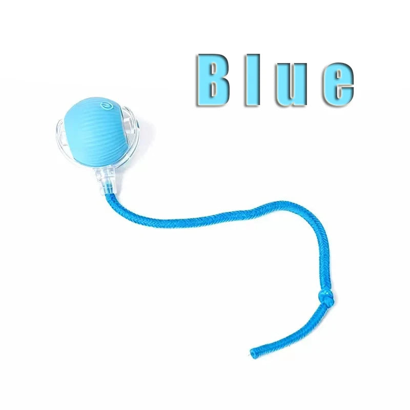 Blue smart interactive rolling ball toy for cats and dogs, rechargeable for automatic playtime entertainment.