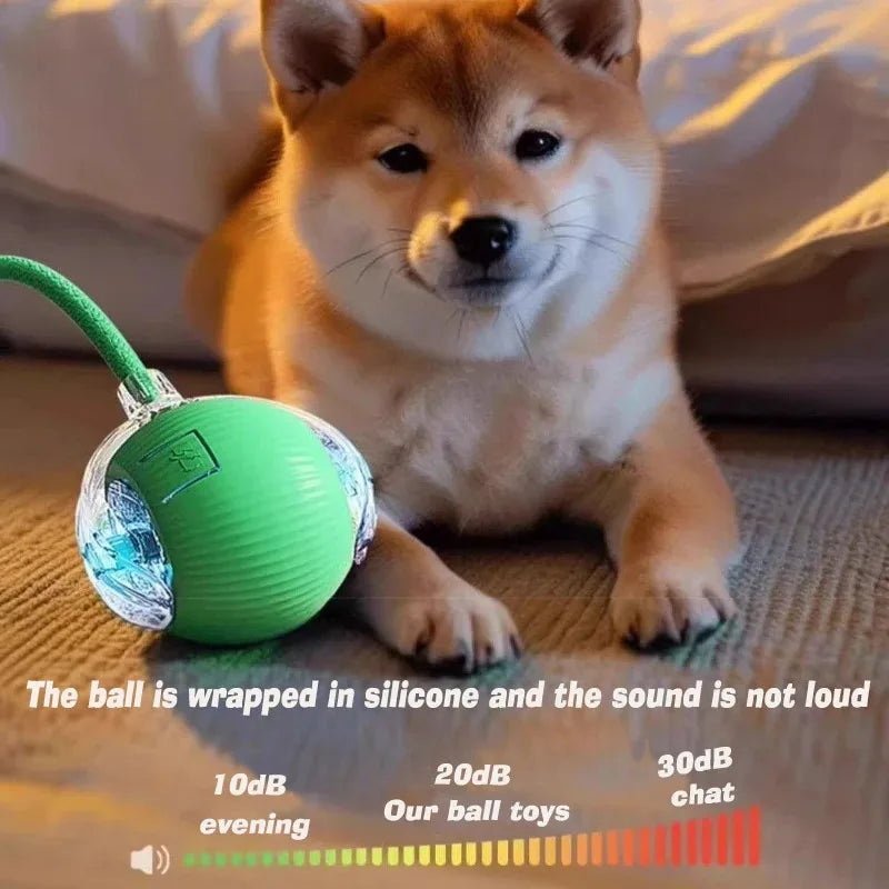 Shiba Inu dog playing with a quiet, rechargeable green silicone interactive smart ball for pets.