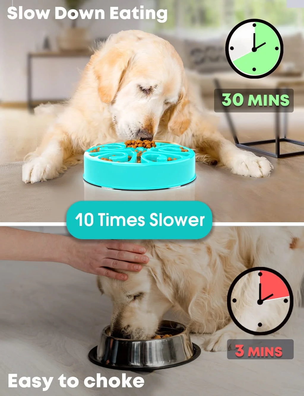 Turquoise non-slip eco dog slow feeder bowl prevents gulping for healthy, slower digestion in large and small dogs.
