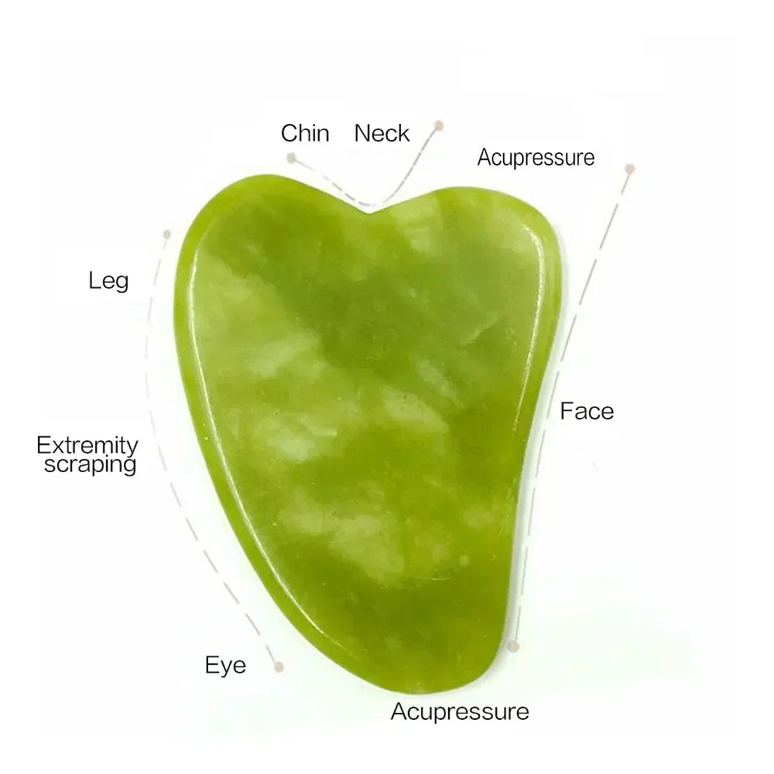 Green jade heart-shaped gua sha tool with labeled edges for facial massage and acupressure.
