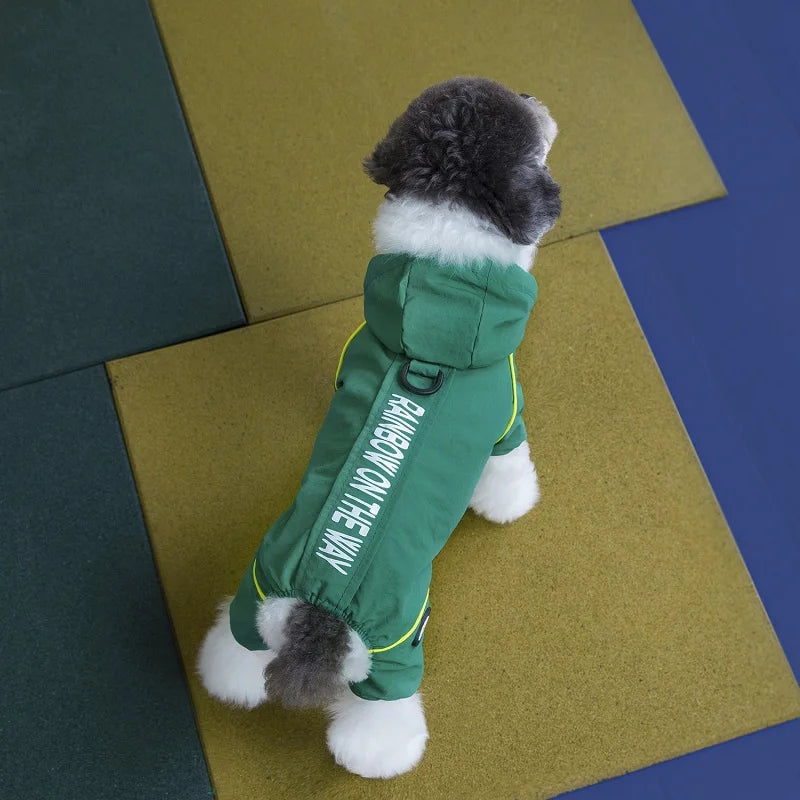 Dog wearing a green waterproof winter jumpsuit with hood. Warm, full-body coat for small dogs and puppies.