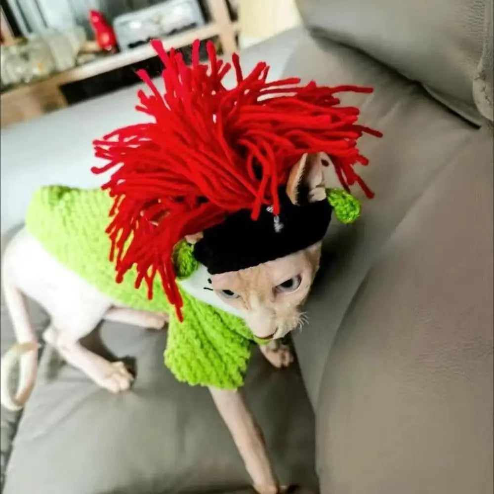 Sphynx cat wearing an adjustable, funny red yarn knitted cosplay hat and green sweater for pet costume parties.