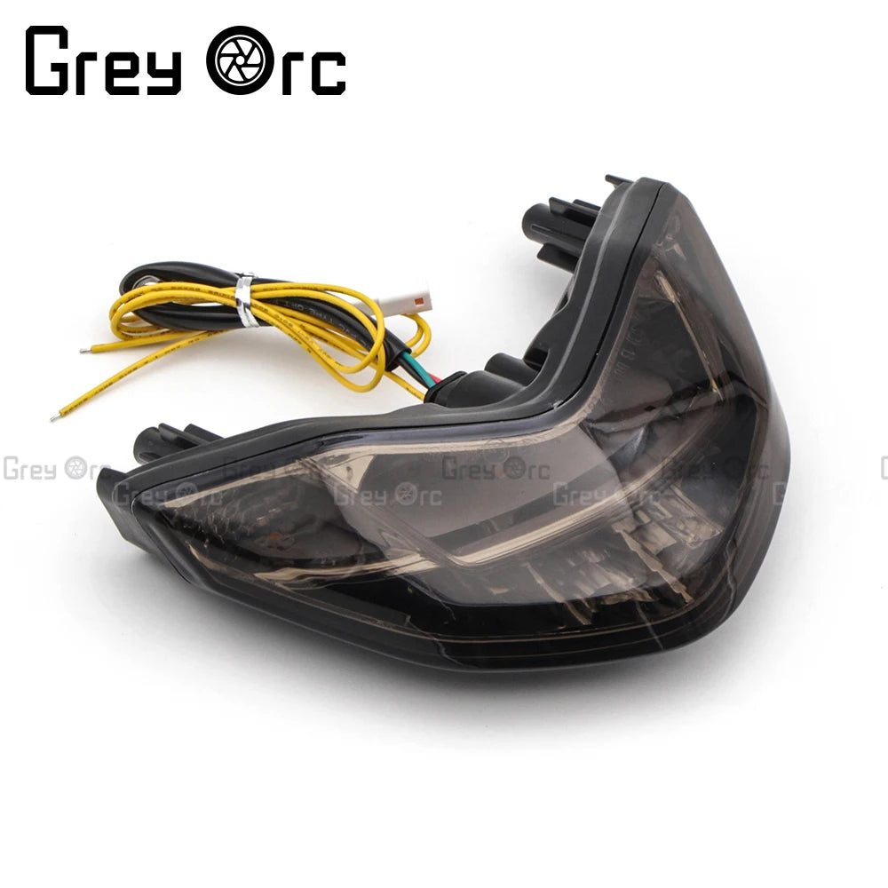 Moto Taillight Integrated LED Turn Signal Lamp Blinker Tail Light Accessories For Ducati Monster 797 821 Super Sport S 939