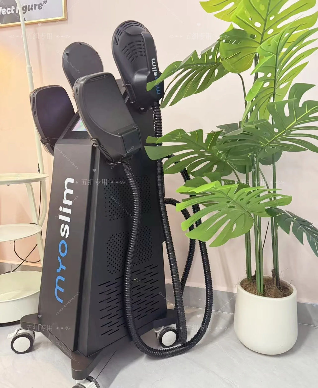 EMS Body Sculpt Machine - Professional Muscle Toning & Fat Reduction Fascia Gun Tidesmit