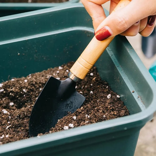 Small handheld garden shovel with wooden handle and black blade for potting soil