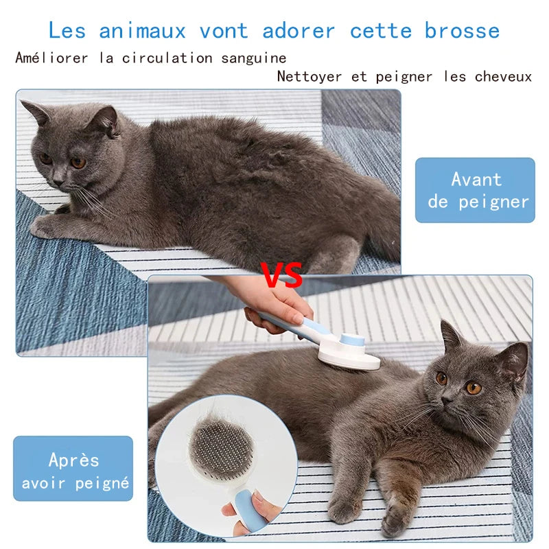 Self-cleaning slicker brush grooming a grey cat to remove loose hair and tangles. White and blue pet grooming tool.