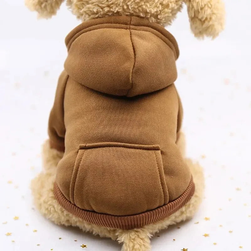 Small dog wearing a cozy, thick brown hooded sweater for warmth during autumn and winter.