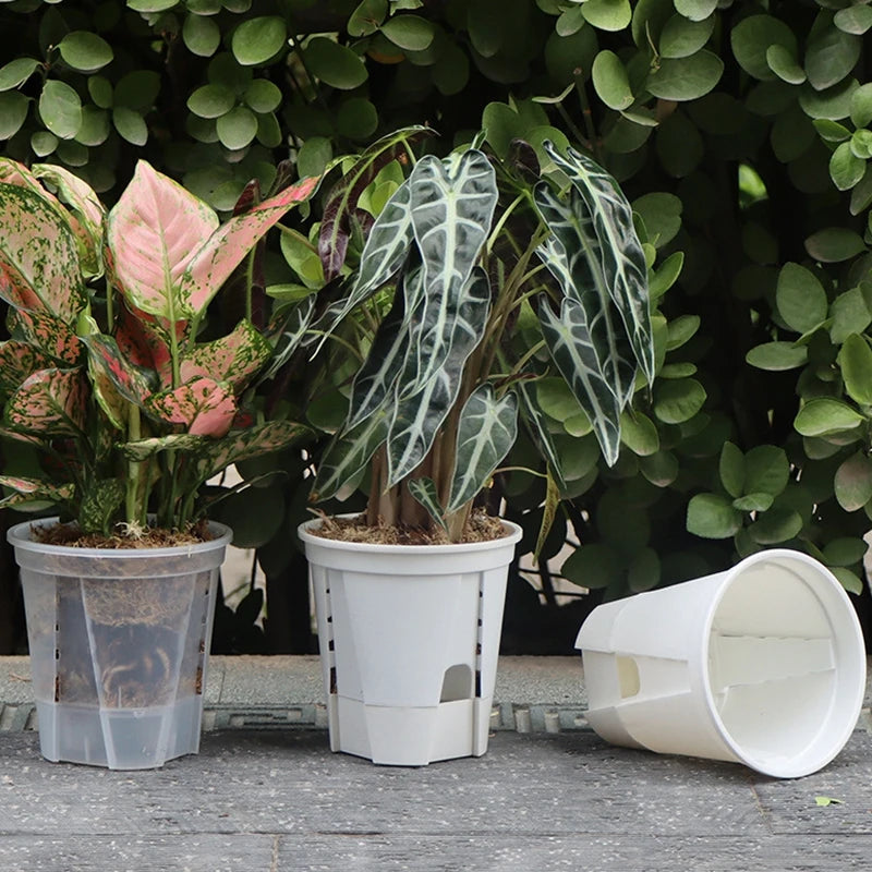 White self-watering plant pot with removable lid, double-layer structure