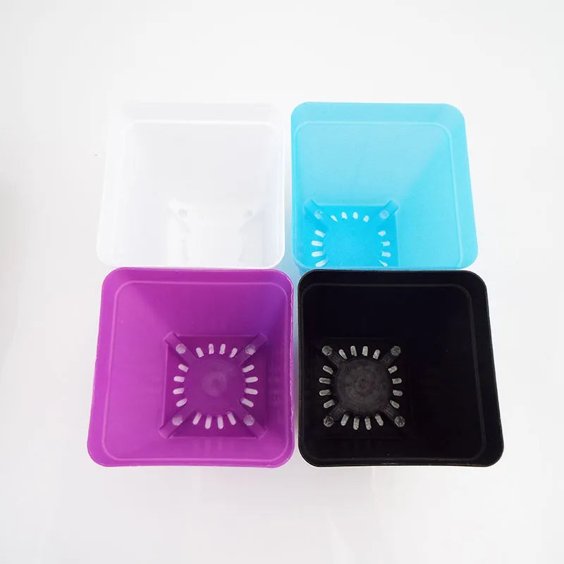 Small square plastic mini pots for succulents with sunburst drainage in white, blue, purple, and black.