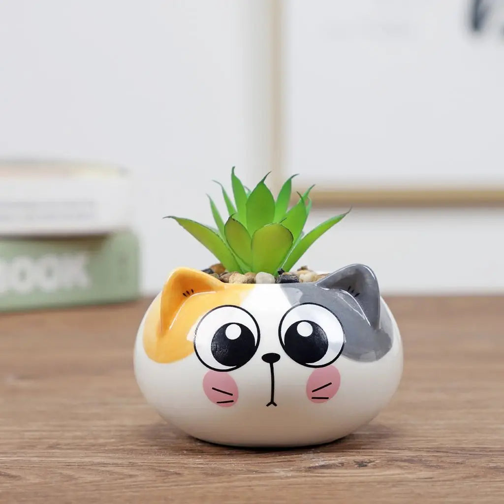 Cute ceramic panda planter with green succulent and big round eye face design