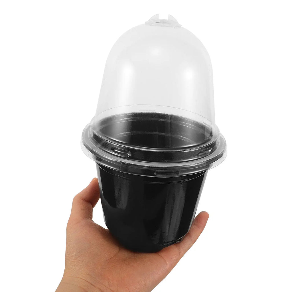 Black plastic seed raising cup with clear dome lid, held in hand