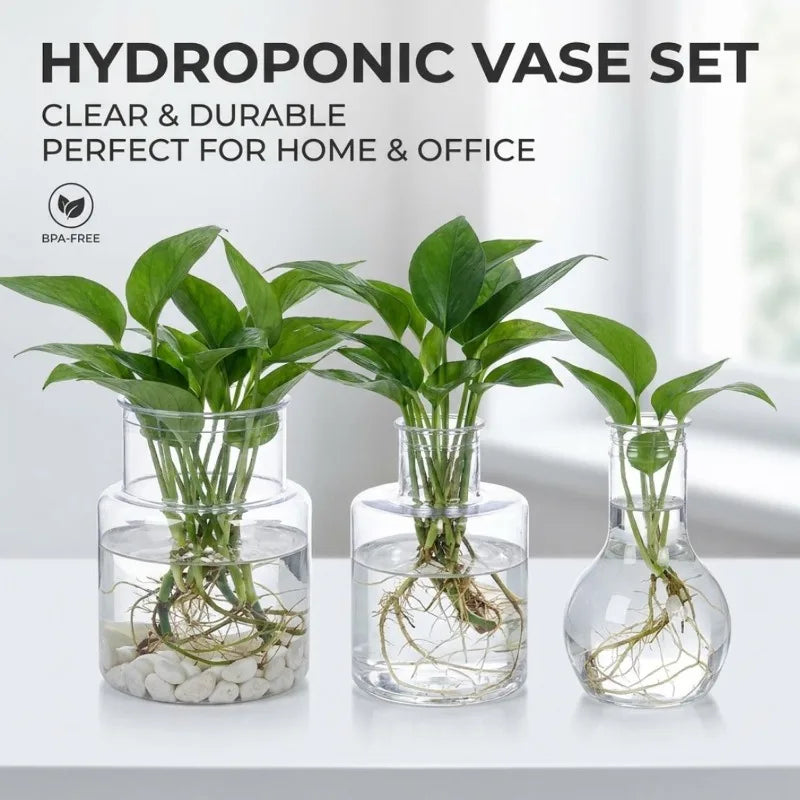 Hydroponic vase set with three clear plant vases and leafy green cuttings