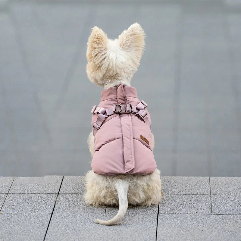 Small dog in a pink padded winter vest with built-in harness, perfect for warm, outdoor autumn and winter walks.