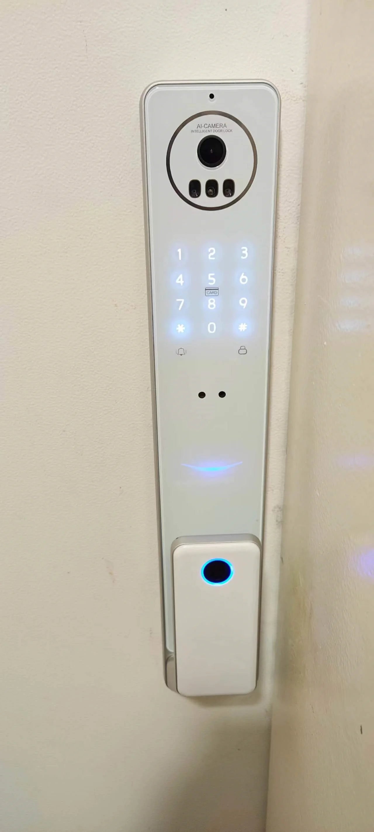 2026 Tuya Wifi Golden Video 3D Face Recognition Fingerprint Digital Smart Door Lock From Alibaba Certification Factory