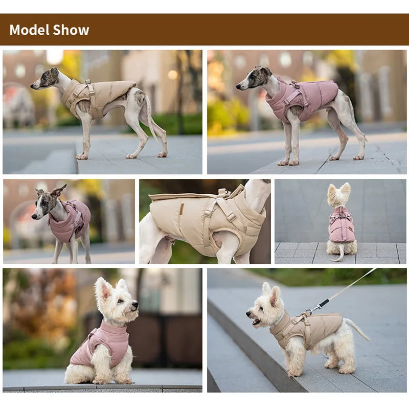 Warm, cotton-padded dog winter jacket with harness for small to medium dogs in beige and pink for outdoor walks.