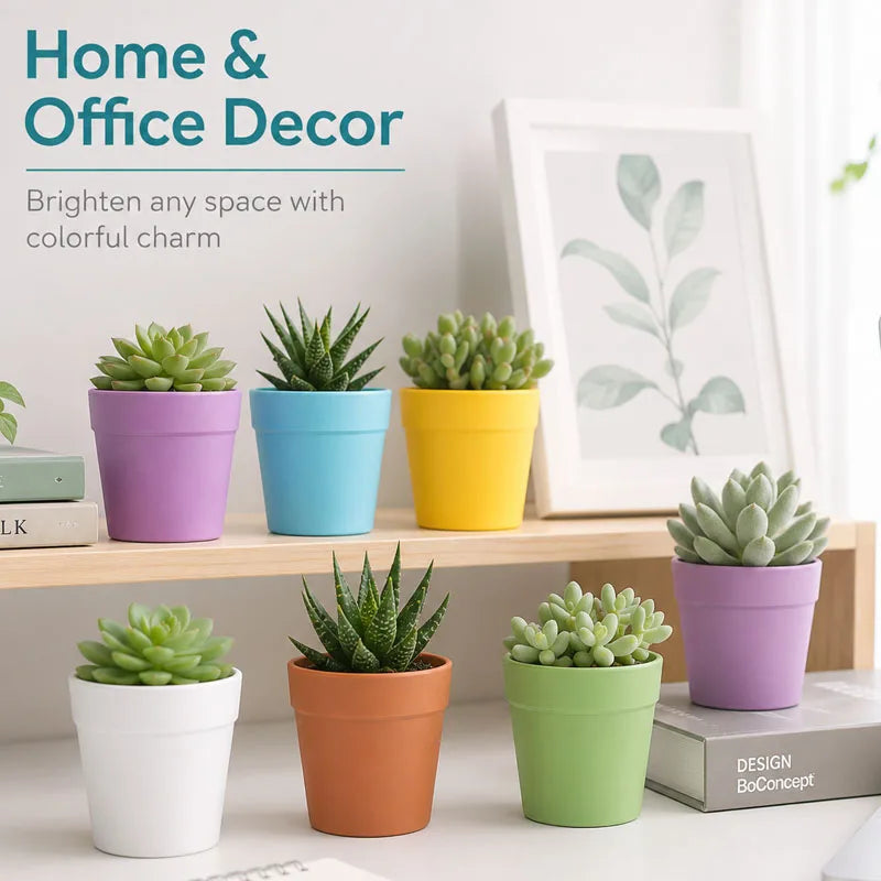Assorted pastel mini plastic succulent pots on a shelf, including purple, blue, yellow, and green