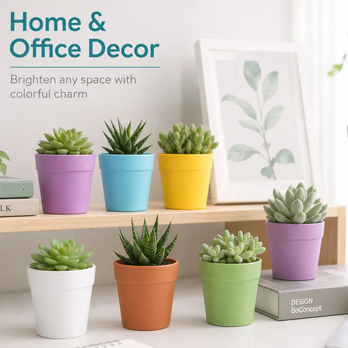 Assorted pastel mini plastic succulent pots on a shelf, including purple, blue, yellow, and green