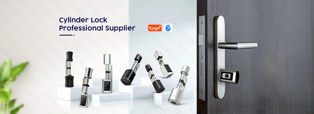 Rechargeable Smart Europe Cylinder Password RFID Card Key Digital Electric Ttlock APP Smart Door Lock Cylinder